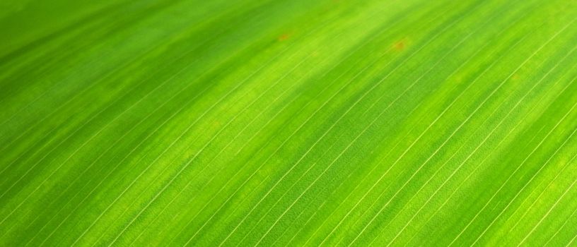 Greenpeace apuesta por las bombas de calor utilizadas para procesar la energía geotérmica