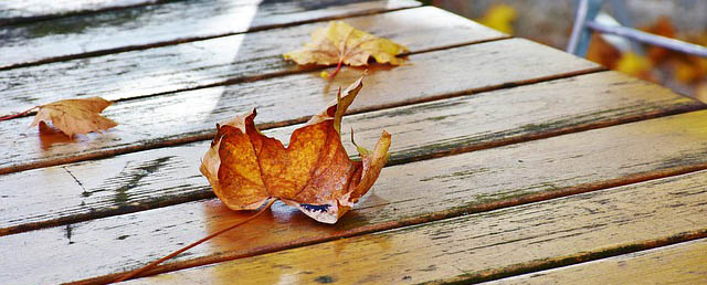 Aires acondicionados y otoño 2017 en Zaragoza