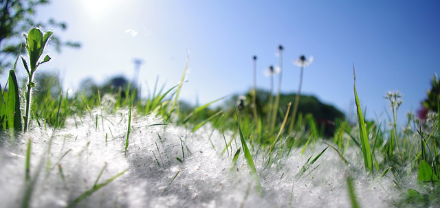 Combate la alergia con filtros de polen en tu aire acondicionado